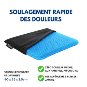 Coussin en Gel - Assiva
